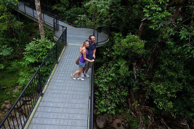 Daintree Rainforest and Cape Tribulation Day Tour from Cairns - Frequently Asked Questions