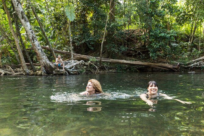 Daintree Rainforest and Cape Tribulation Full Day Tour - The Experience in Practice: What You’ll Love and What to Keep in Mind