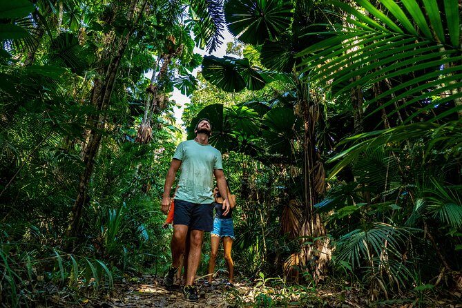 Daintree Rainforest and Mossman Gorge: Full Day Tour - Who Is This Tour Best For?
