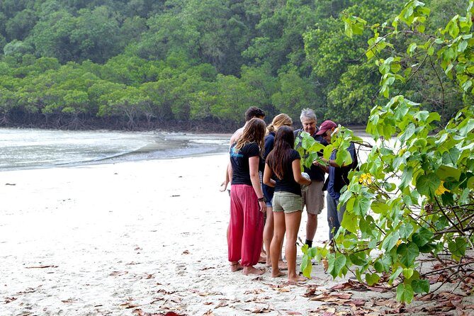 Daintree Rainforest and Mossman Gorge: Full Day Tour - FAQs