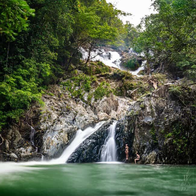Daintree Rainforest: Magic Waterfall Walk with Lunch & Swim - An In-Depth Look at the Daintree Magic Waterfall Walk