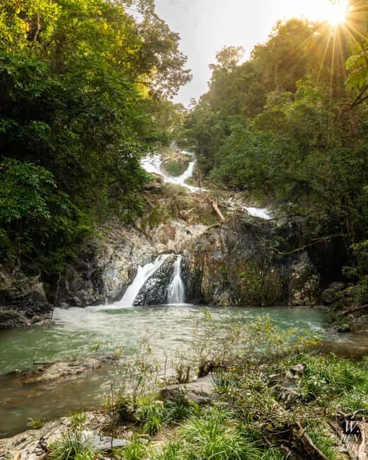 Daintree Rainforest: Magic Waterfall Walk with Lunch & Swim - The Sum Up