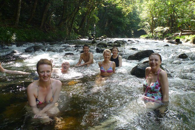 Daintree Rainforest, Mossman Gorge Small-Group from Port Douglas - Key Points