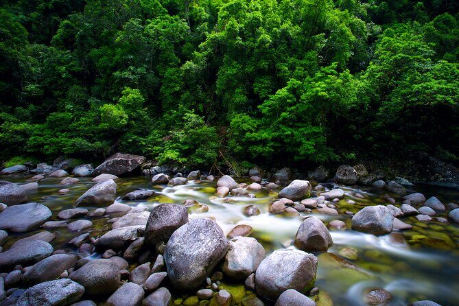 Daintree Rainforest, Mossman Gorge Small-Group from Port Douglas - Final Thoughts