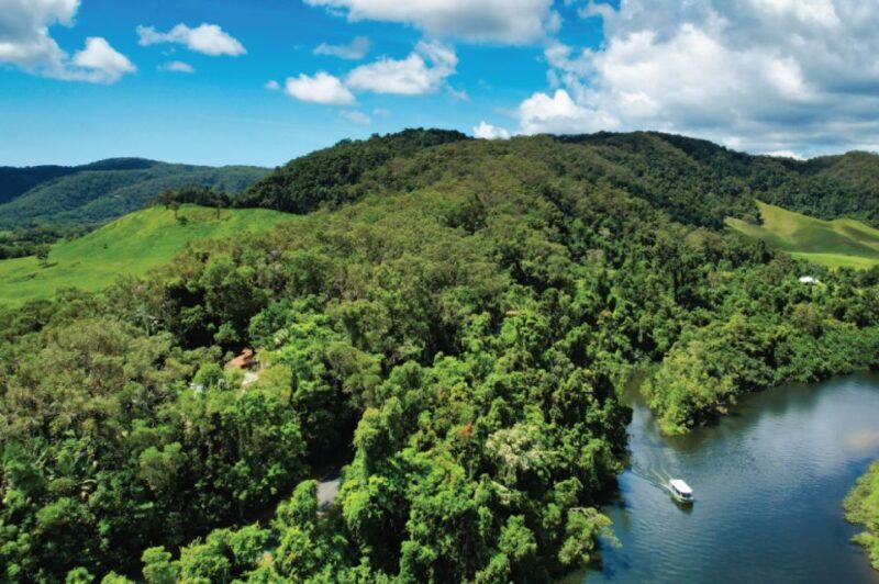Daintree: River Rainforest Crocodile & Wildlife Cruise (DV) - Discovering the Daintree River: What to Expect