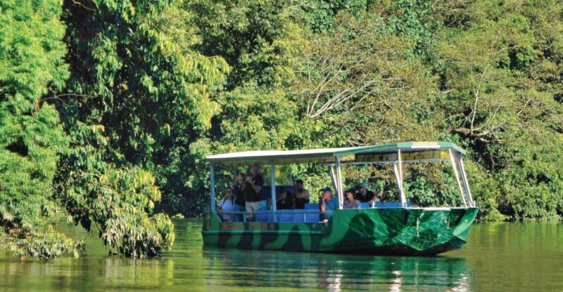 Daintree River Rainforest: Crocodile & Wildlife Cruises (DG) - Authentic Experiences from Reviews