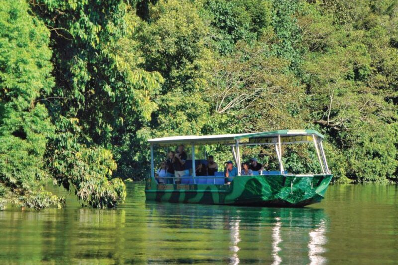 Daintree River Rainforest: Crocodile & Wildlife Cruises (DG) - Who Should Consider This Tour?