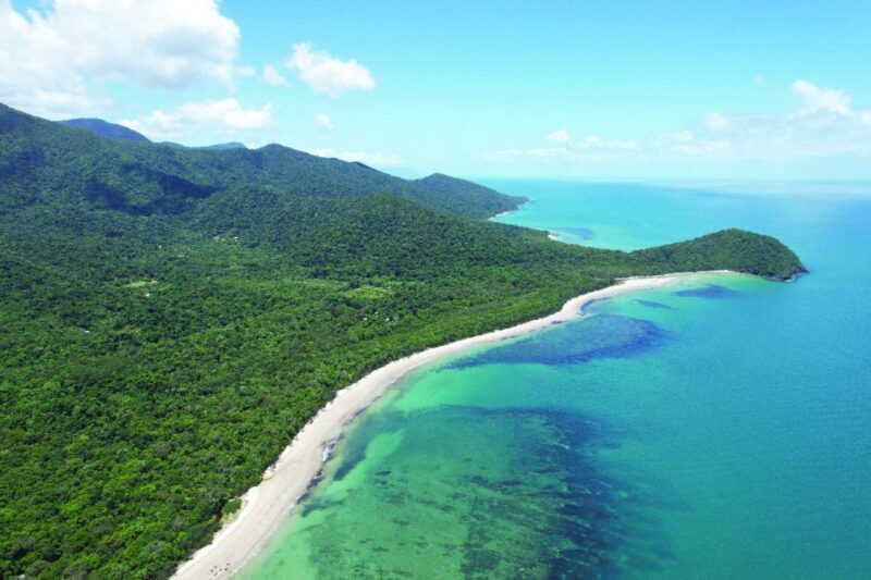Daintree River Rainforest: Crocodile & Wildlife Cruises (DG) - FAQ