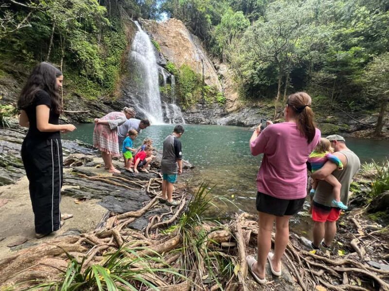 Daintree waters tour, all terrain vehicles and light lunch. - Who Is This Tour Best For?