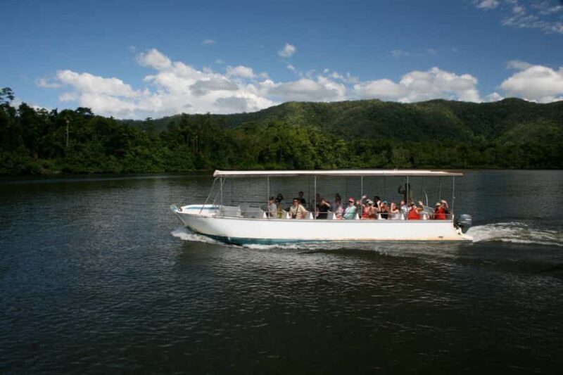 Daintree waters tour, all terrain vehicles and light lunch. - The Sum Up