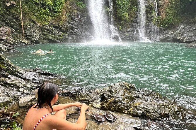 Daintree Waters Tour - Exploring the Daintree Waters Tour