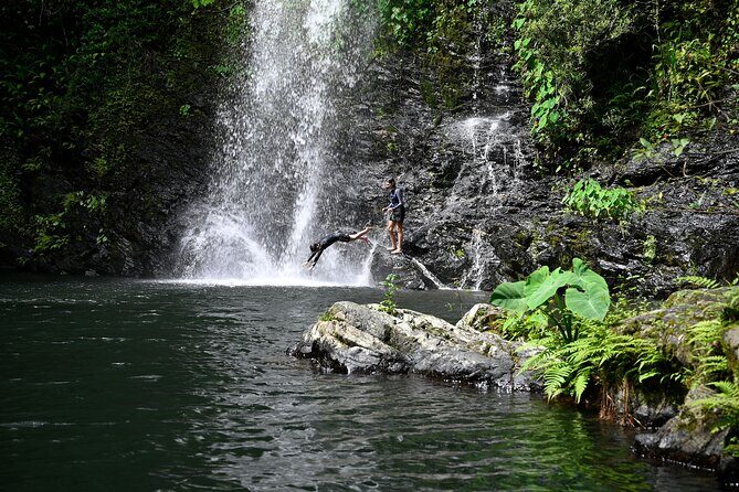 Daintree Waters Tour - The Sum Up: Is the Daintree Waters Tour Worth It?