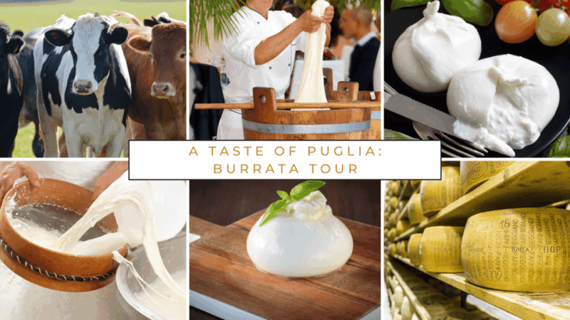 dairy-farm-tour-in-the-apulian-countryside