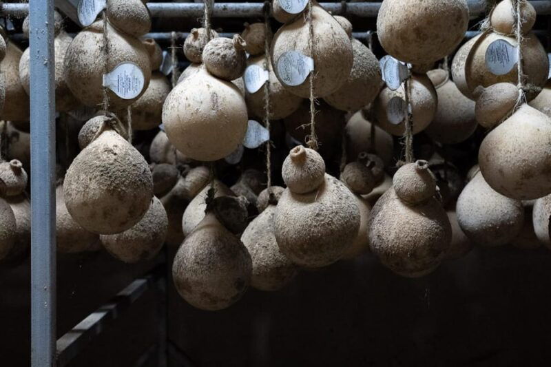 dairy-farm-tour-in-the-apulian-countryside