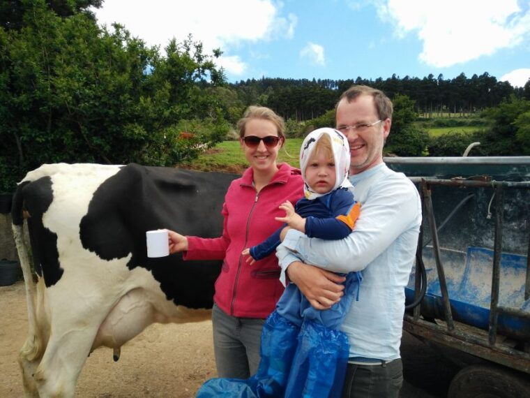 dairy-farm-visit-and-cow-milking-experience-in-azores