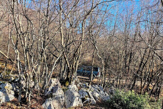 Dajti Mountain & Shengjergj Waterfall Day Trip on Land Rover - Practical Tips for Travelers