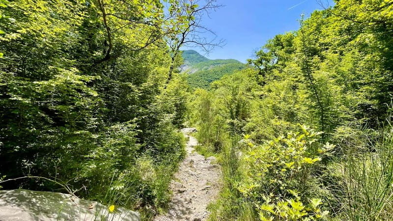 Dajti Mountain & Shengjergj Waterfall Day Trip on Land Rover - Who Would Love This Tour?