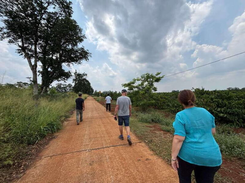 Dak Lak BMT Coffee Tour - Key Points