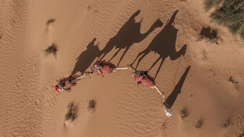 Dakhla Camel Ride in the Desert - An Authentic Dakhla Experience with Stunning Views and Tranquil Moments