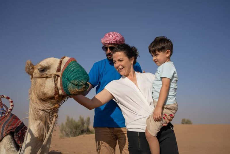 Dakhla Camel Ride in the Desert - Key Points