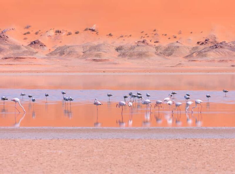 Dakhla Catamaran Tour - A Detailed Look at the Dakhla Catamaran Tour