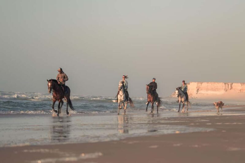 Dakhla Horse Riding Tour in the Desert - Key Points