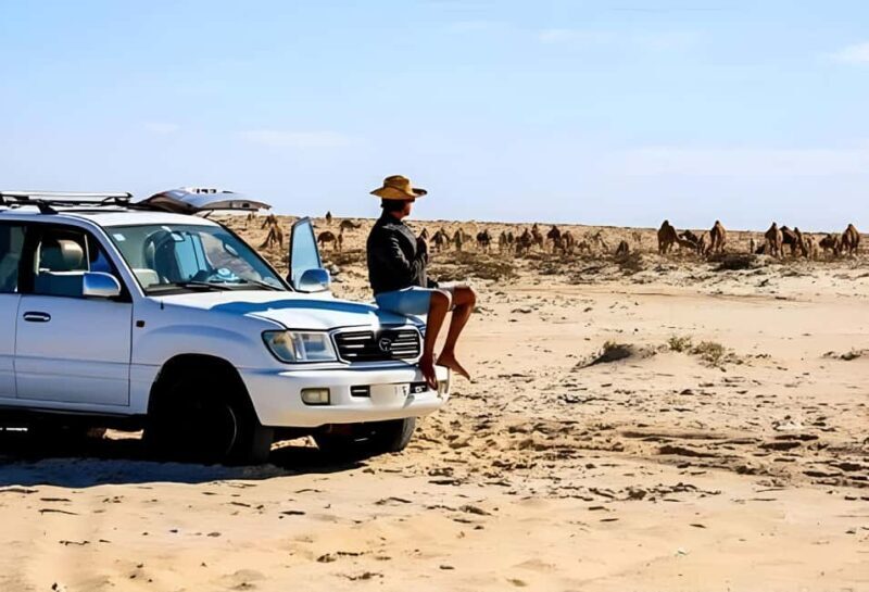 Dakhla: Imlili Desert 4x4 Tour with Oyster Tasting - FAQs