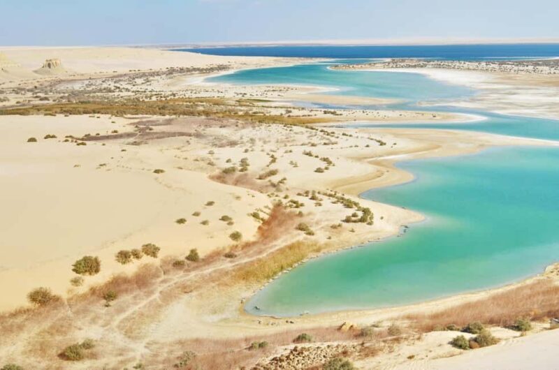 Dakhla: La Dune Blanche, Asmaa Spring & Oyster Farm Tour - Key Points