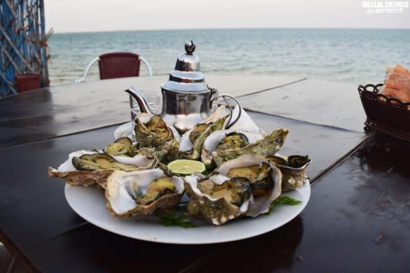 Dakhla: La Dune Blanche, Asmaa Spring & Oyster Farm Tour - Final Thoughts