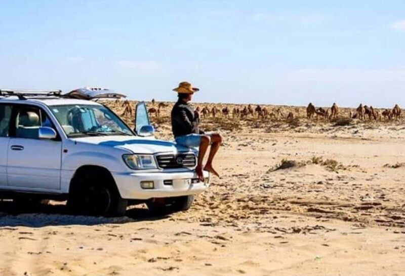 Dakhla: Private Tour to Imlili with Picnic & Tea - Who Will Enjoy This Tour?  
