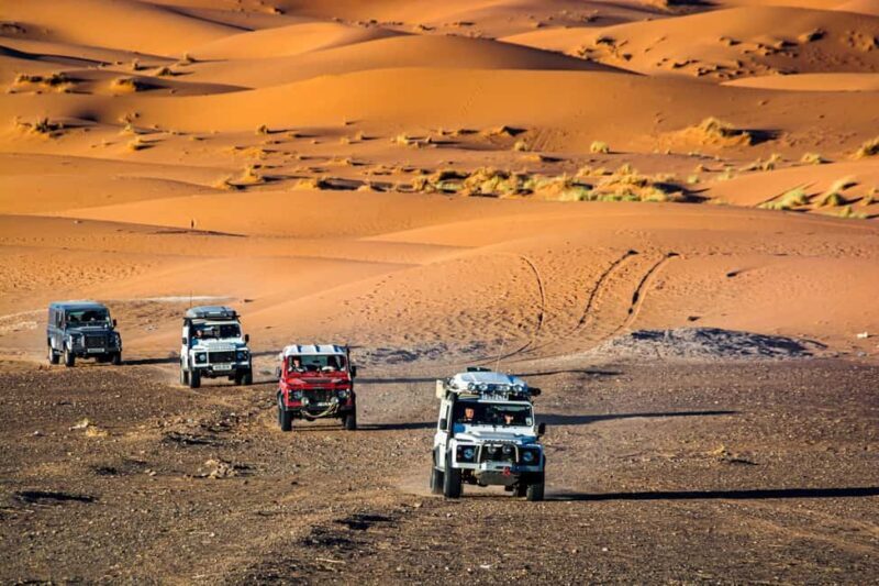 Dakhla White Dune 4x4 Tour Half Day - Key Points
