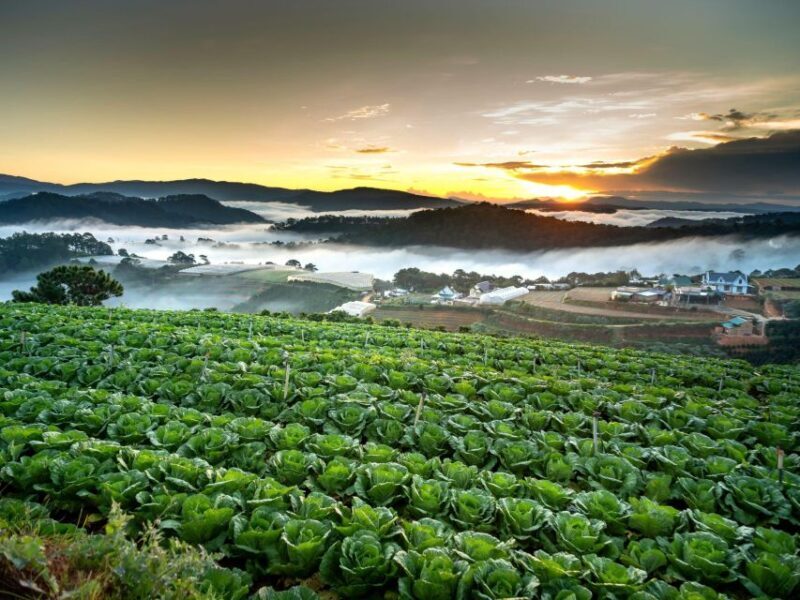 Dalat: Best of the Countryside Tour in a Private Car - Final Thoughts