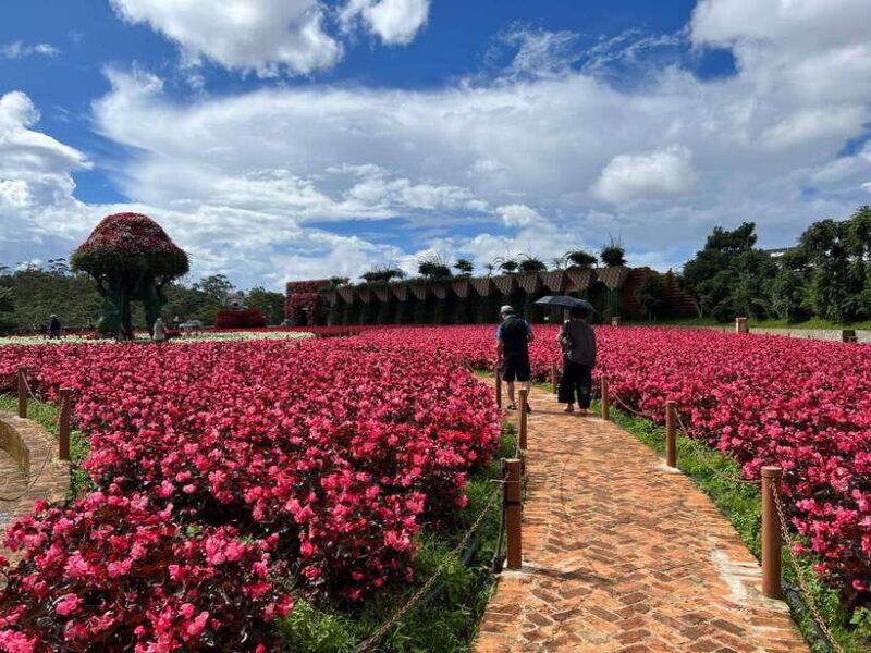 Dalat City Sightseeing Private Tour With Funny Guide - Tips for the Best Experience