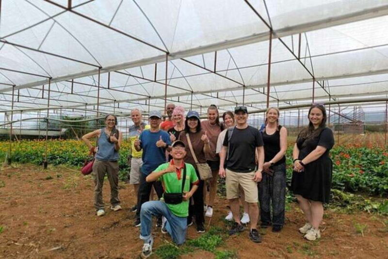 Dalat Countryside & Pongour Waterfall Tours (Small Group) - Key Points