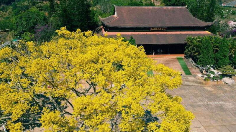 Dalat Countryside & Pongour Waterfall Tours (Small Group) - What We Love About This Tour