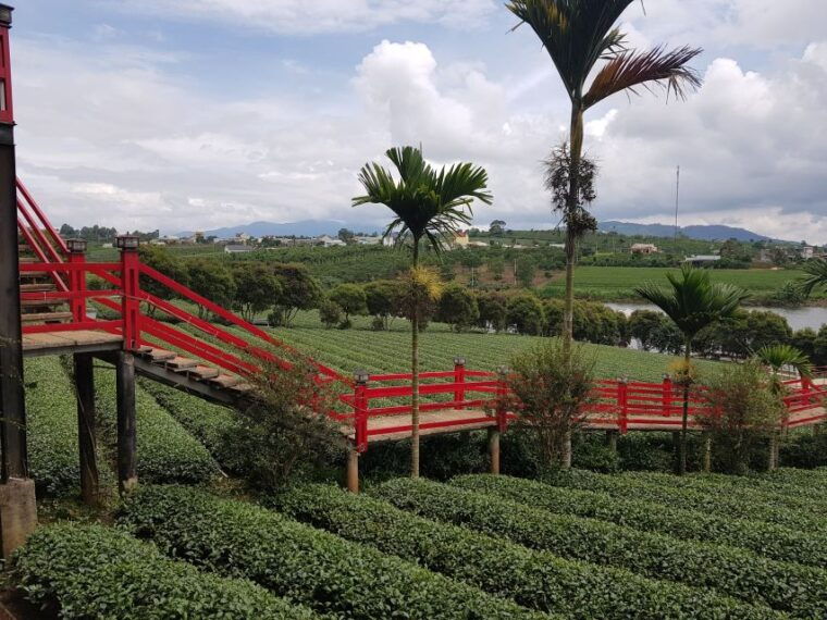 dalat-countryside-tour-with-silk-village-elephant-falls