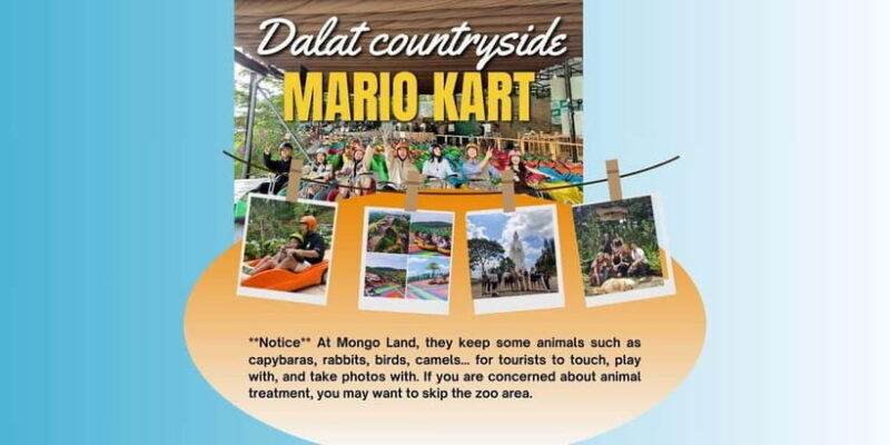 Dalat Mario Kart - Mongo Land - Countryside Small Group Tour - What Is the Dalat Mario Kart - Mongo Land - Countryside Tour?