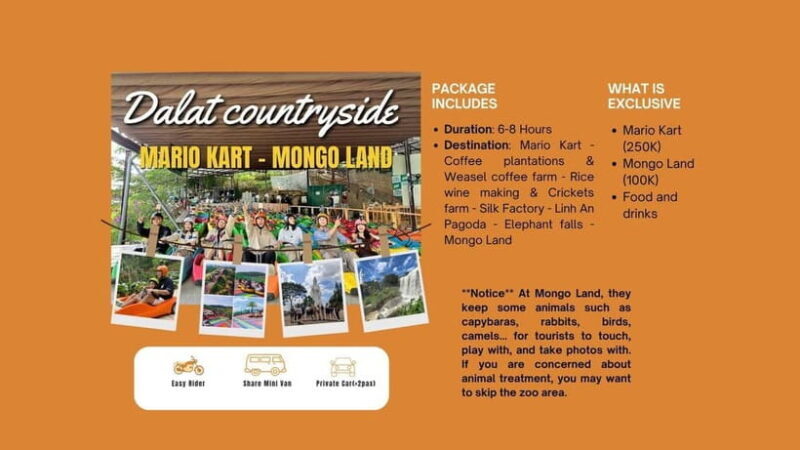 Dalat: Mario kart - Mongo Land - Countryside Tour - Who Will Enjoy This Tour?