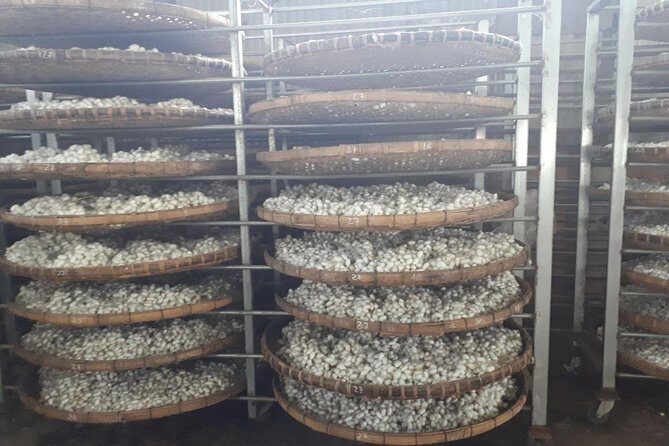 Dalat Motorbike Tour - The Sum Up