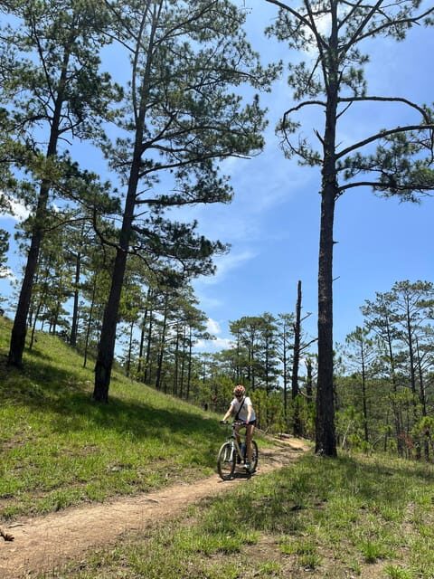 Dalat mountain biking tour - A Detailed Look at the Dalat Mountain Biking Tour