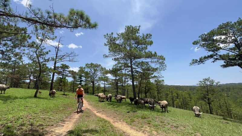 Dalat mountain biking tour - FAQ