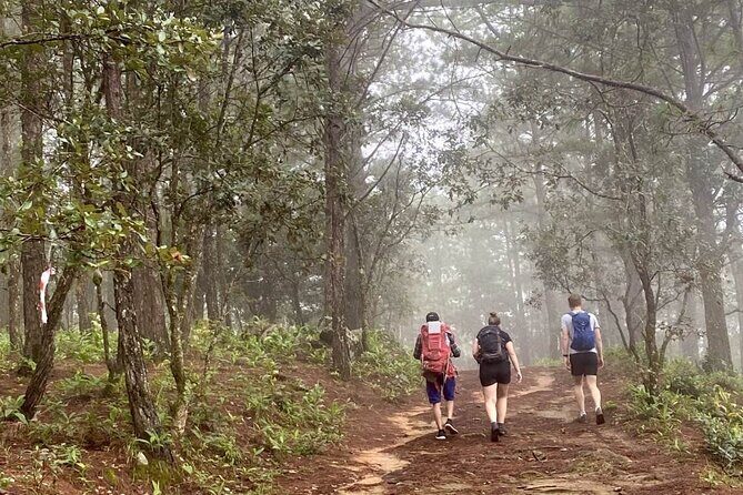 Dalat Pinhatt Peak Jungle Trek and Tuyen Lam Lake - Key Points