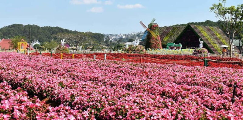 Dalat: Sightseeing and Waterfalls Tour - Starting Point: The Fresh Garden