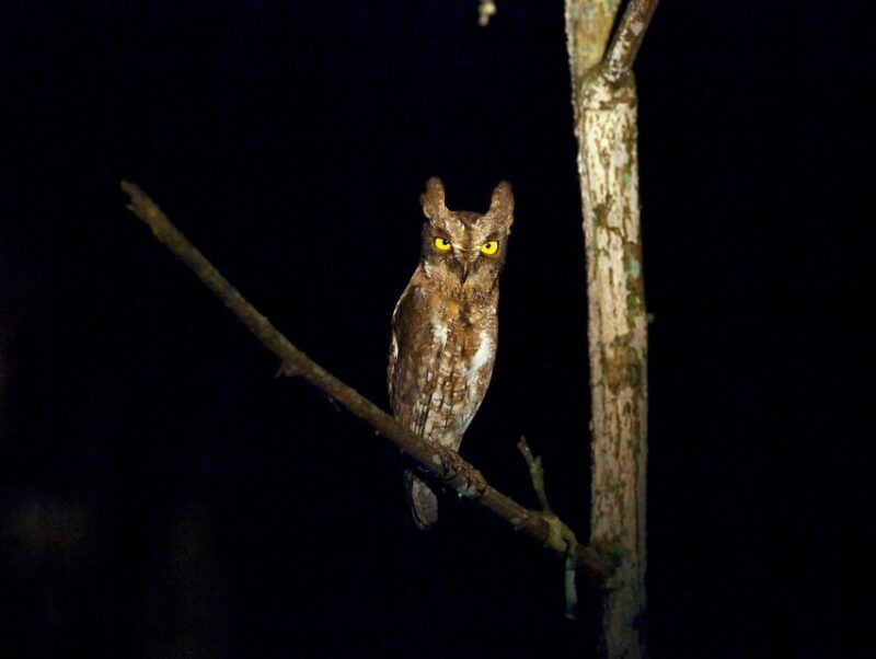 dalat-to-cat-tien-national-park-saigon-3-days