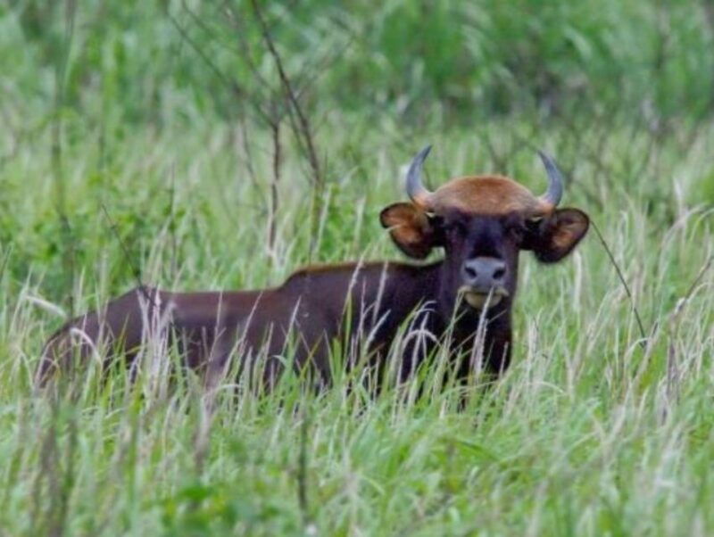 dalat-to-cat-tien-national-park-saigon-3-days