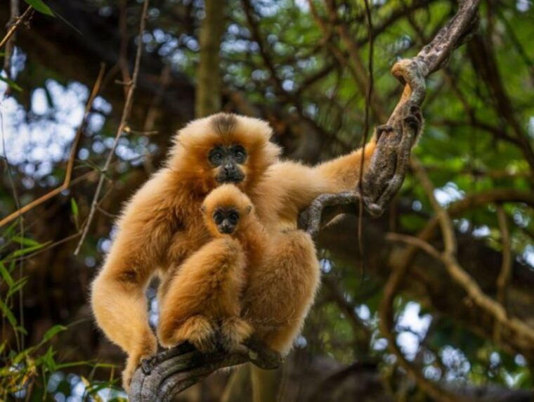 dalat-to-cat-tien-national-park-saigon-3-days