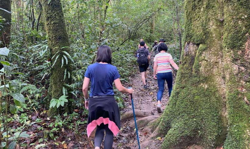 dalat-trek-on-langbiang-mountain