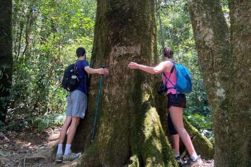 dalat-trek-on-langbiang-mountain
