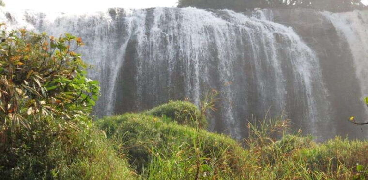 dalat-waterfalls-pagoda-and-bee-farm-day-tour