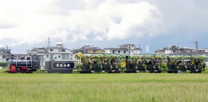 Dali: Chongsheng Temple, Xizhou, & Erhai Lake 1 Day Tour - An In-Depth Look at the Dali Day Tour